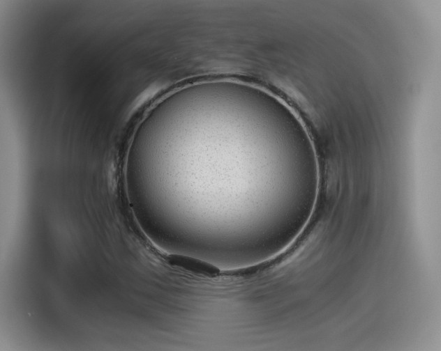 X0000115261163200911061233