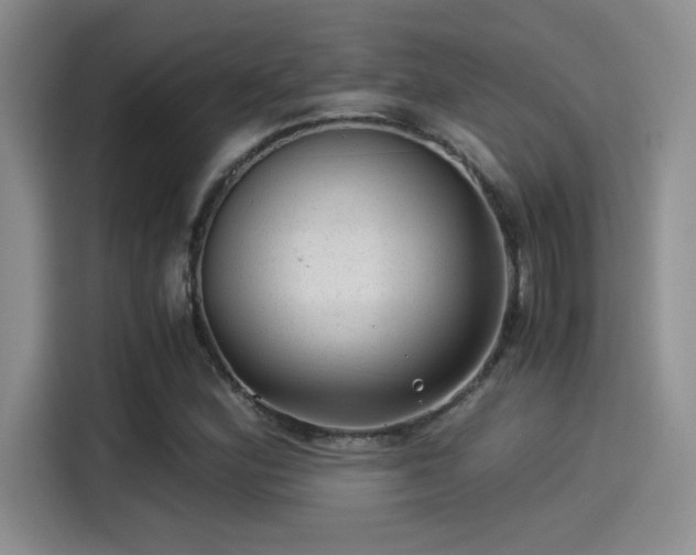X0000115261164200911061233