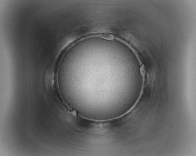 X0000115261165200911061233
