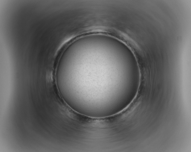 X0000115261166200911061233