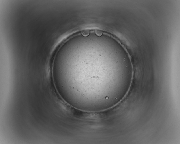 X0000115261167200911061233