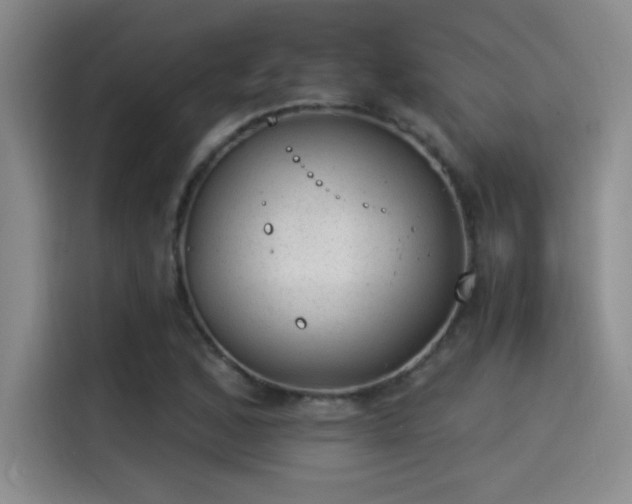 X0000115261168200911061233