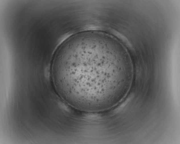 X0000115261170200911061233
