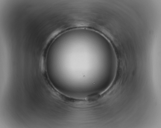 X0000115261171200911061233