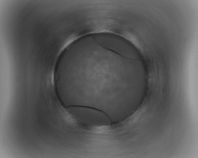 X0000115261173200911061233