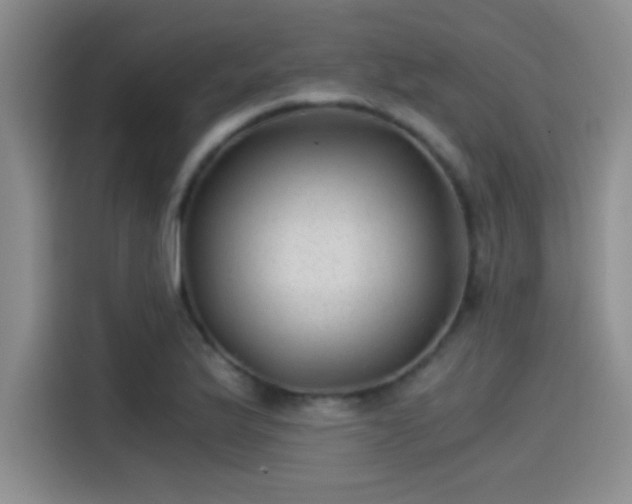 X0000115261175200911061233