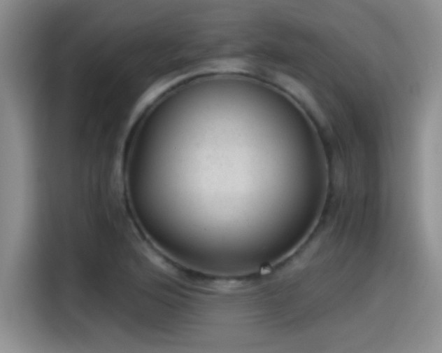 X0000115261176200911061233