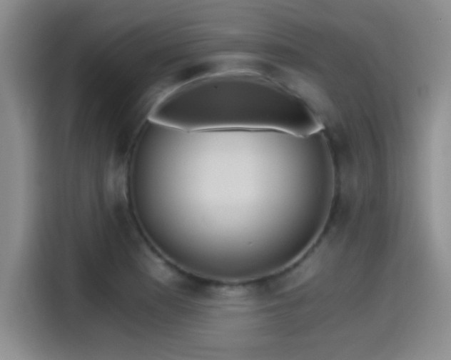 X0000115261177200911061233