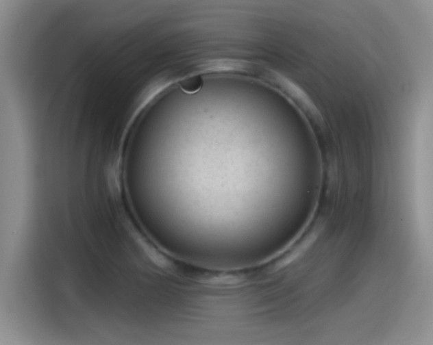 X0000115261178200911061233