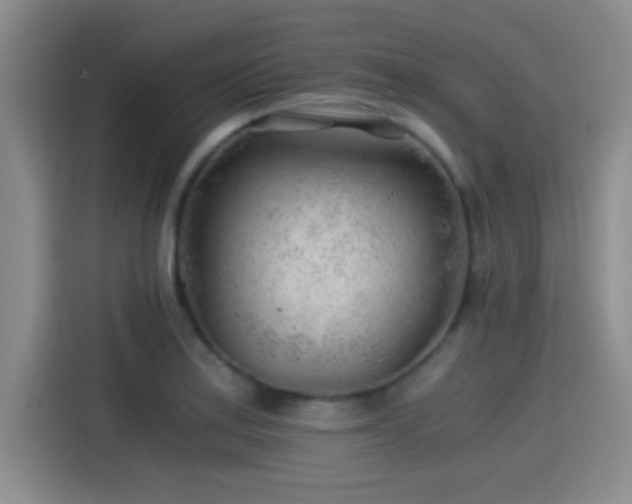 X0000115261179200911061233