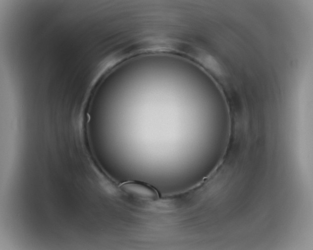 X0000115261181200911061233