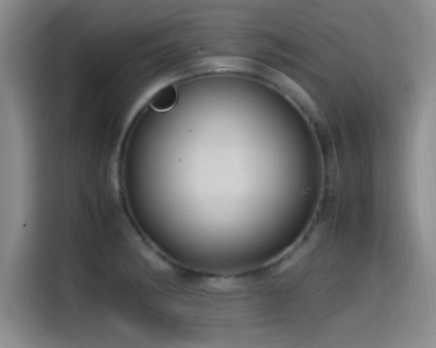 X0000115261182200911061233