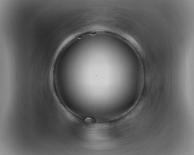 X0000115261183200911061233