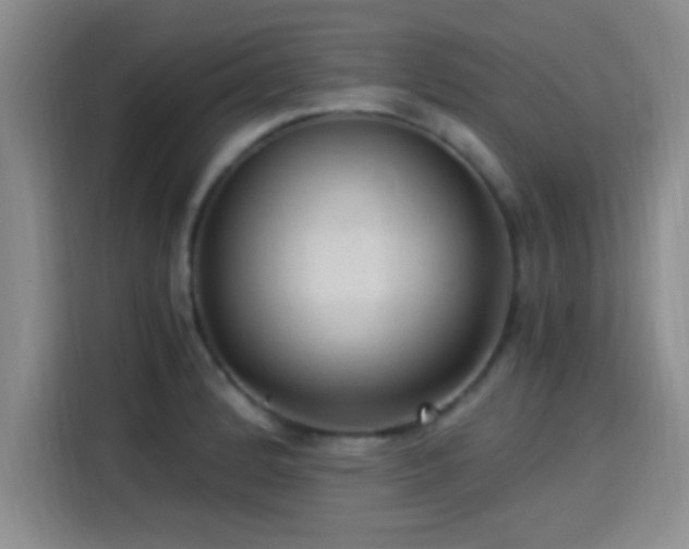 X0000115261184200911061233