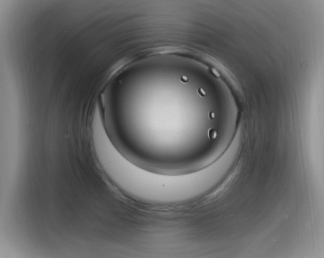 X0000115261185200911061233