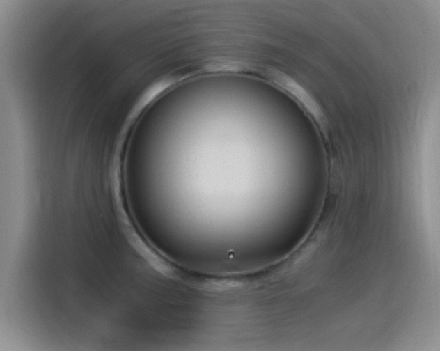X0000115261187200911061233