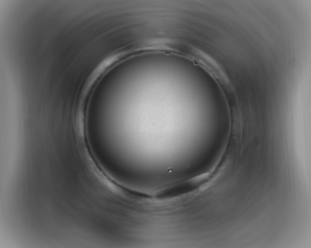 X0000115261188200911061233