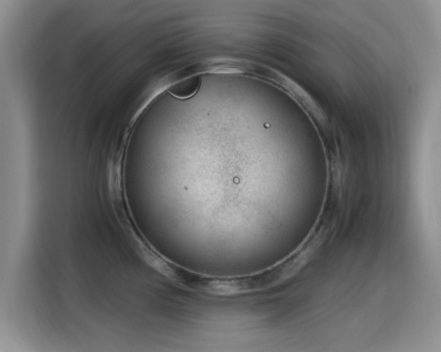 X0000115261194200911061232