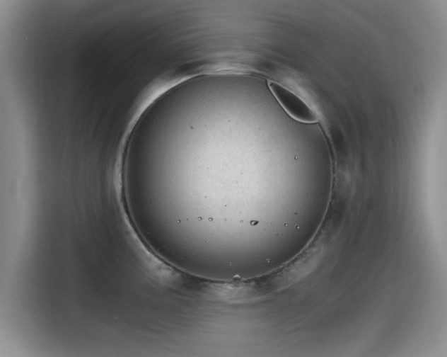 X0000115261195200911061232