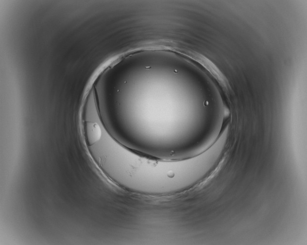 X0000115261196200911061232