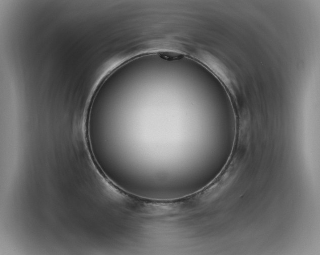 X0000115261197200911061232