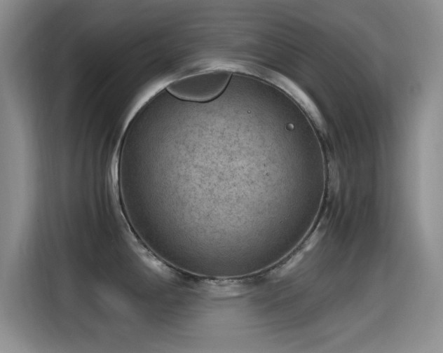 X0000115261198200911061232