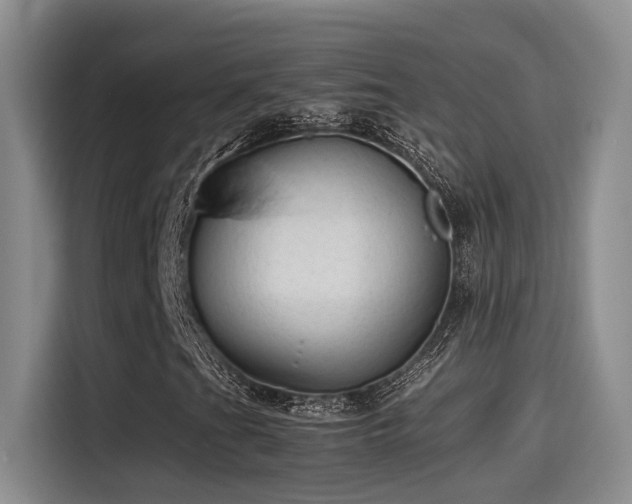 X0000115261201200911061232