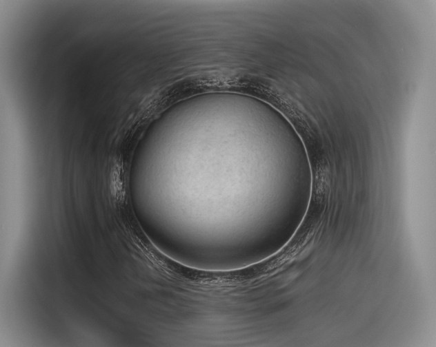 X0000115261202200911061232