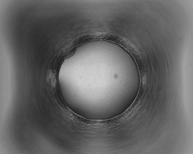 X0000115261204200911061232