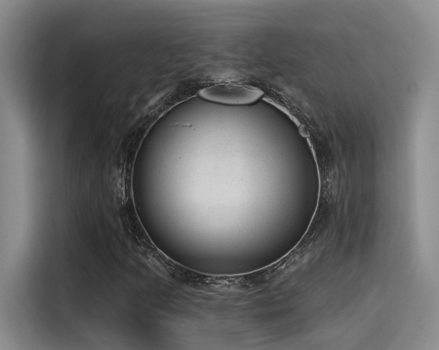 X0000115261205200911061232