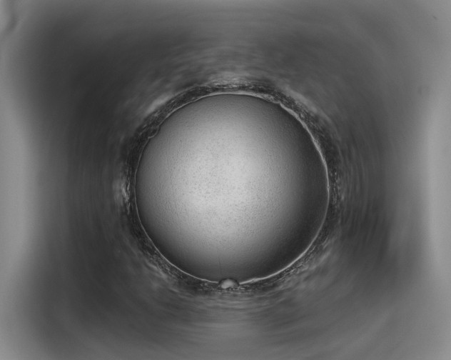 X0000115261206200911061232
