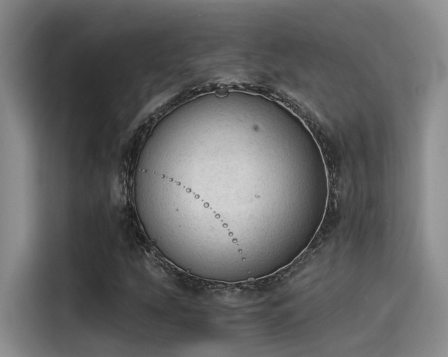 X0000115261207200911061232