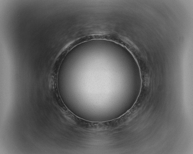X0000115261208200911061232
