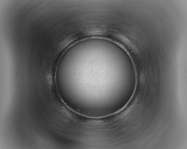 X0000115261209200911061232
