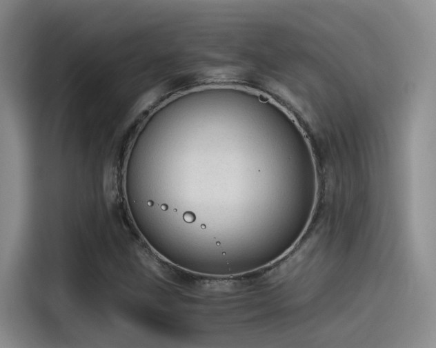 X0000115261211200911061232