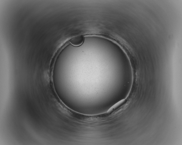 X0000115261212200911061232