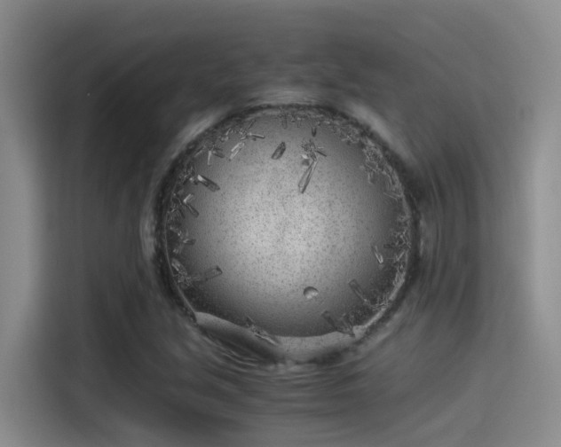 X0000115261213200911061232