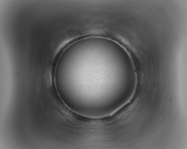 X0000115261214200911061232