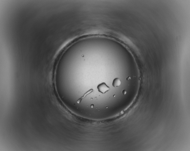 X0000115261216200911061232