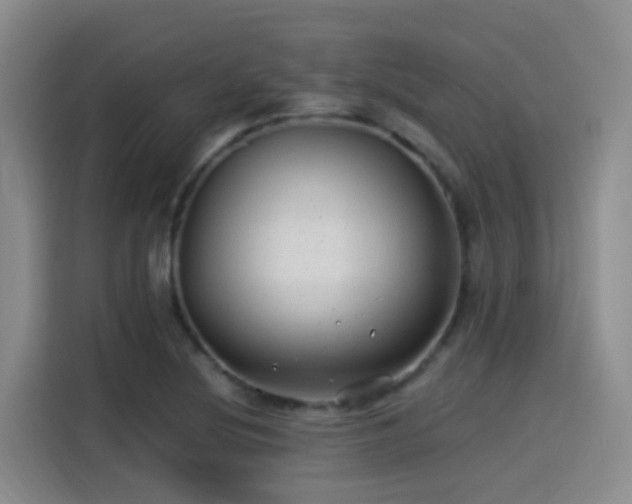 X0000115261220200911061232