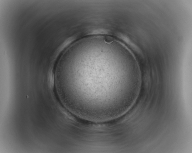X0000115261221200911061232