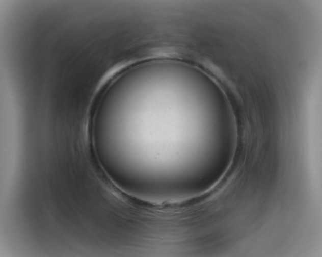 X0000115261222200911061232