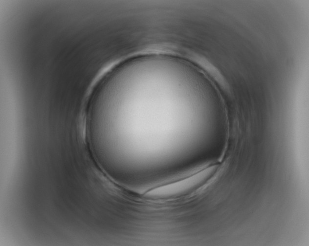 X0000115261224200911061232