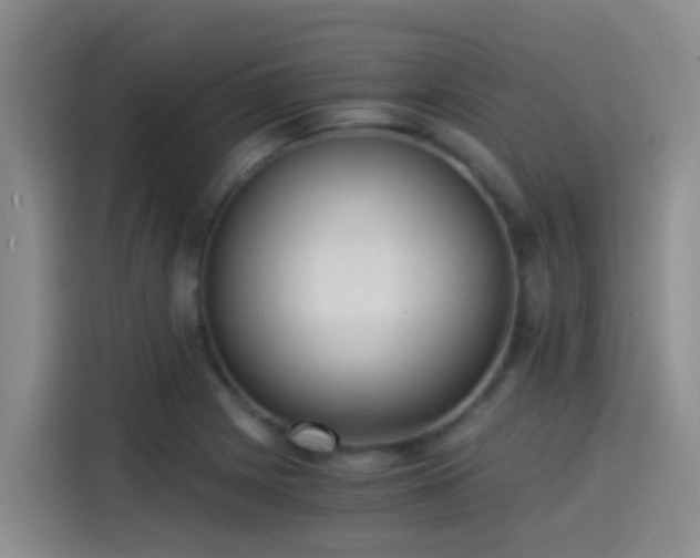 X0000115261225200911061232