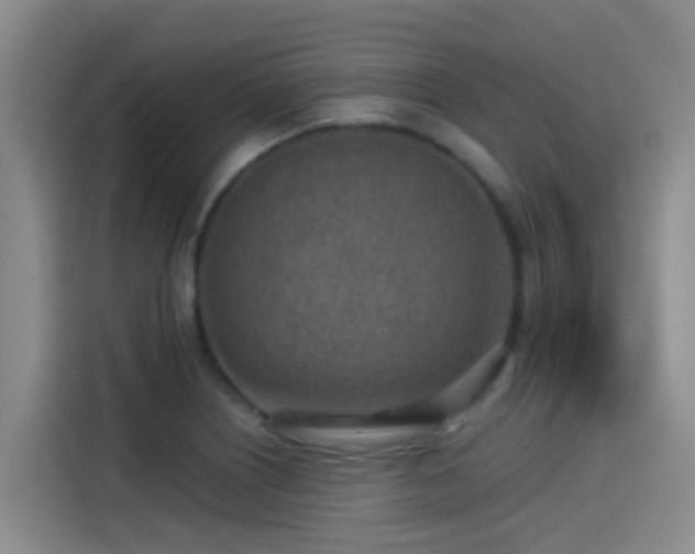 X0000115261226200911061232