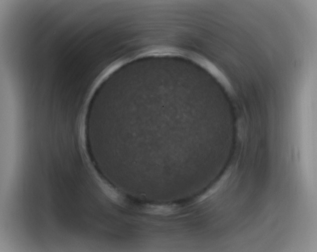 X0000115261229200911061232