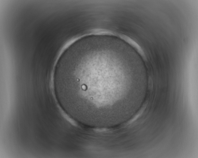 X0000115261231200911061232