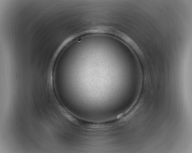 X0000115261232200911061232