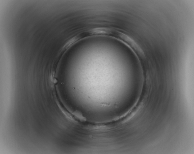 X0000115261233200911061232