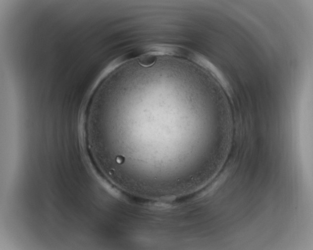 X0000115261235200911061232
